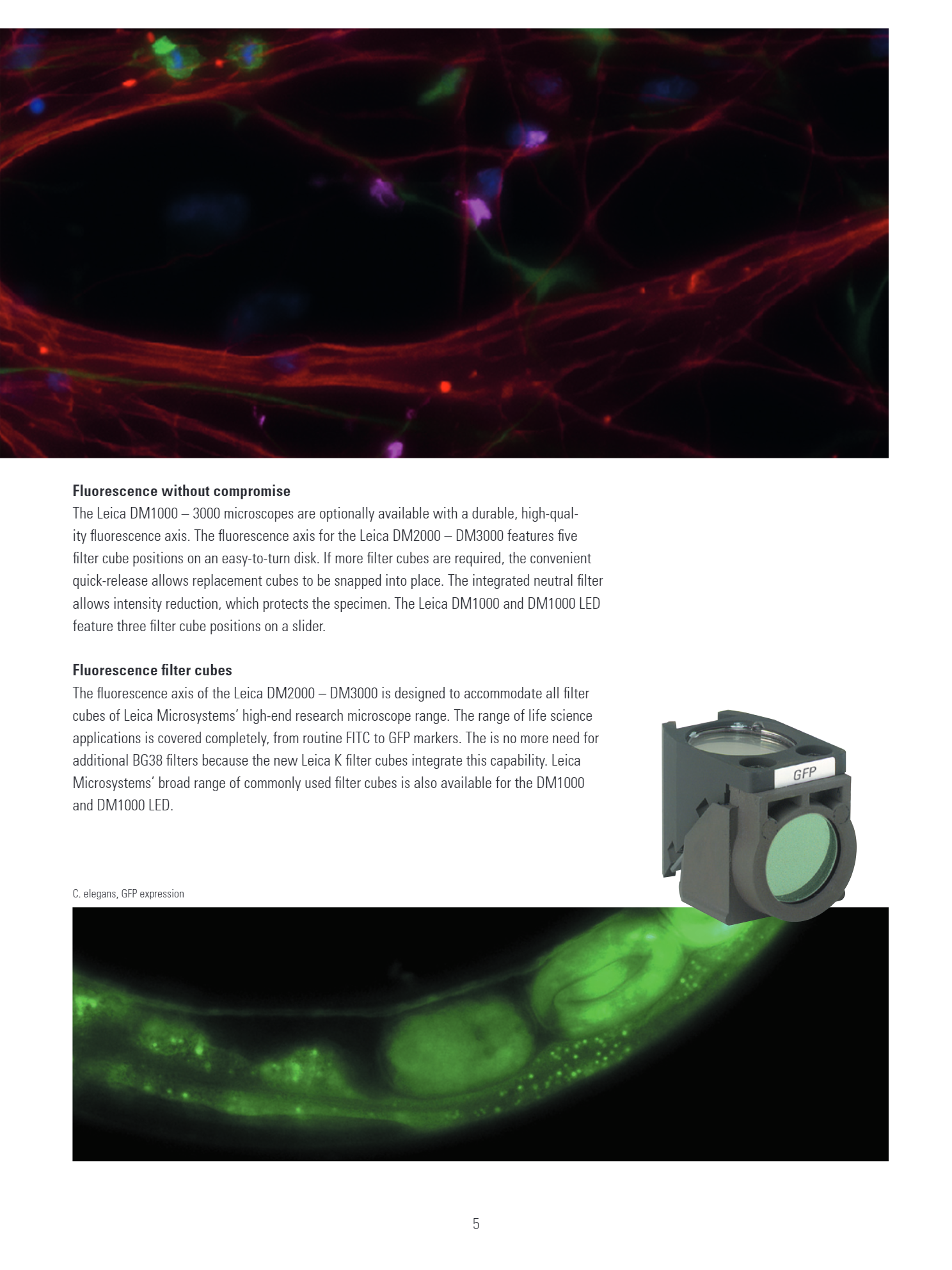 Leica DM1000-DM3000 LED_Brochure_Research_EN5.jpg